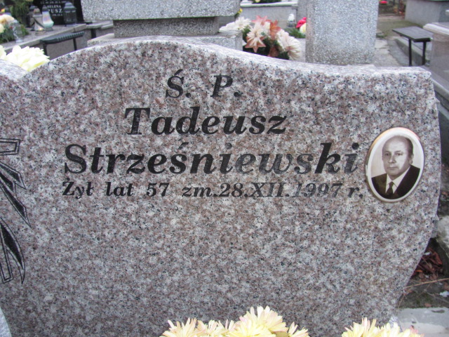 Jadwiga STRZEŚNIEWSKA Sierpc - Grobonet - Wyszukiwarka osób pochowanych