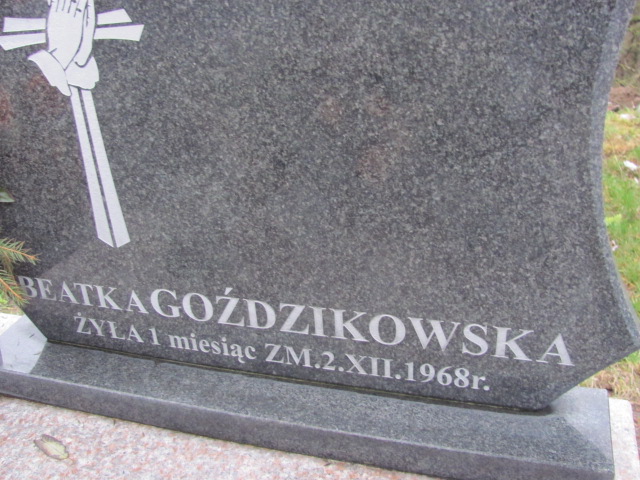 Jerzy GOŹDZIKOWSKI 1936 Sierpc - Grobonet - Wyszukiwarka osób pochowanych