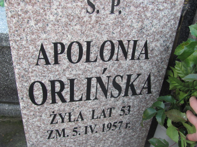 Apolonia Orlińska  Sierpc - Grobonet - Wyszukiwarka osób pochowanych