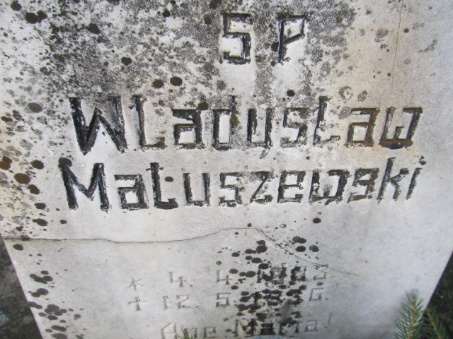 Władysław Matuszewski 1903 Sierpc - Grobonet - Wyszukiwarka osób pochowanych