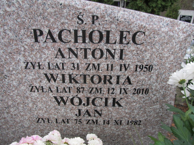 Grób Wiktoria Pacholec 