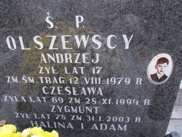 Zygmunt Olszewski Sierpc - Grobonet - Wyszukiwarka osób pochowanych